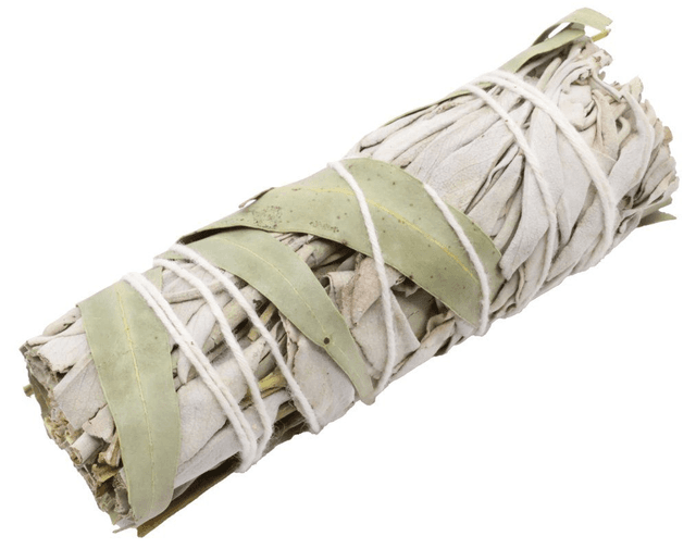 Sauge Blanche &amp; Eucalyptus fagot 20g